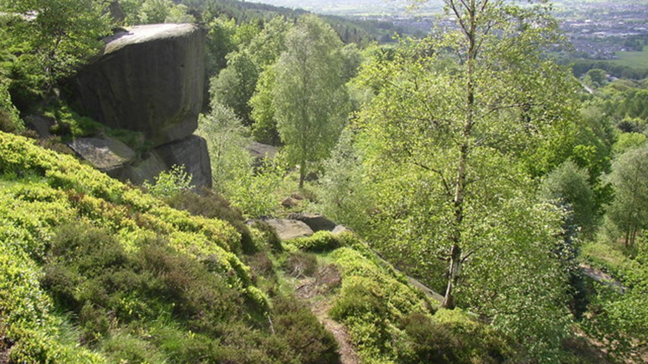 Orienteering Image